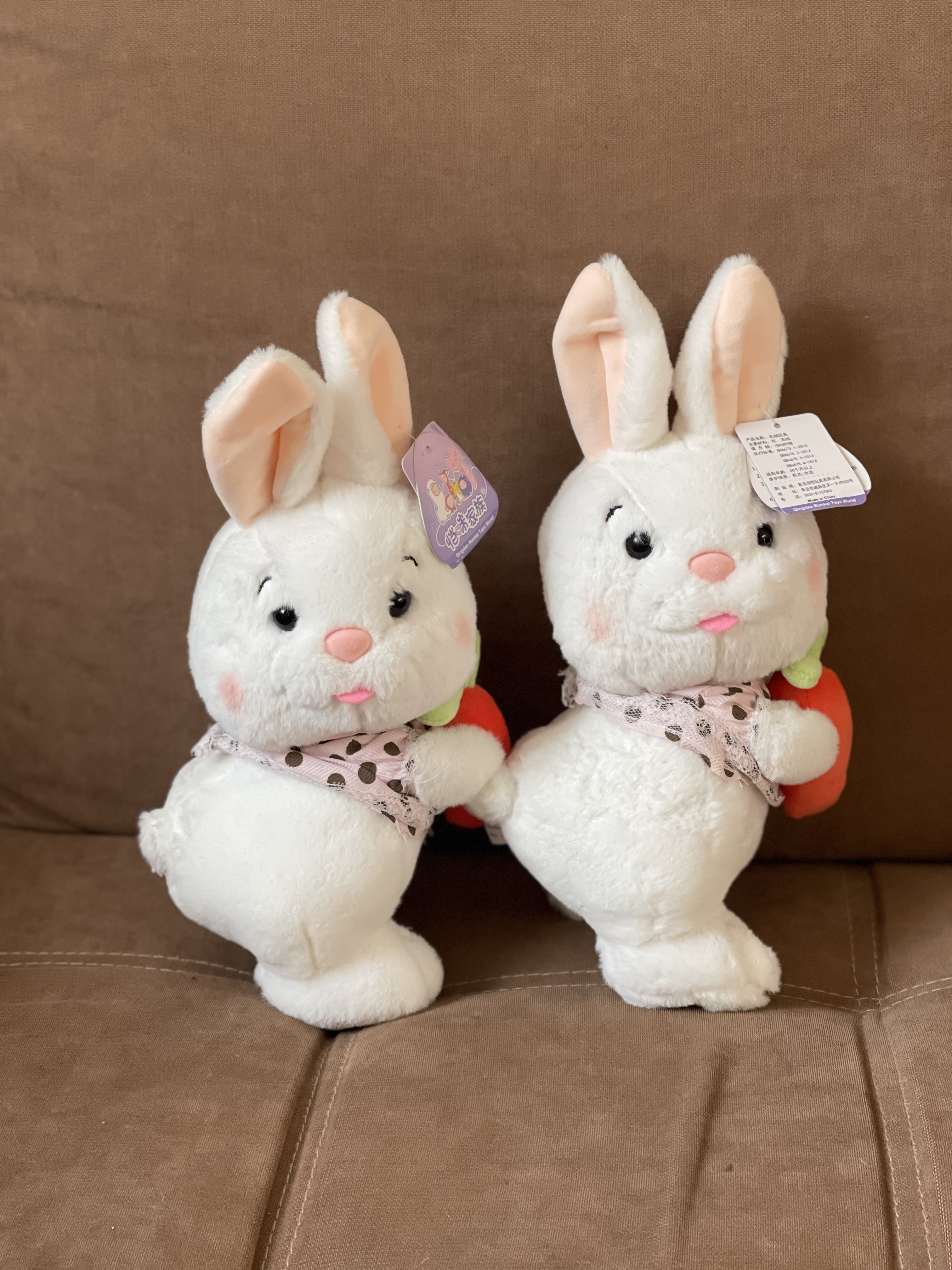 Зайка с морковкой